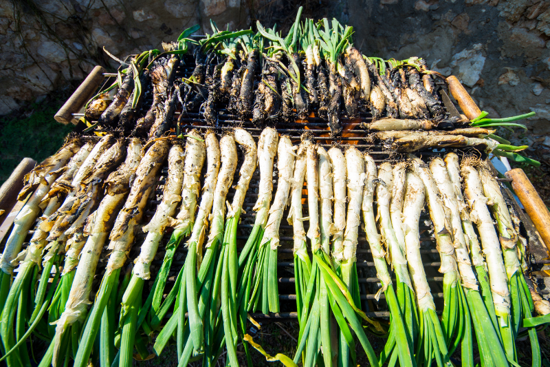 مجموعة كبيرة من بصل الكالسوتس (Calçots) تُشوى مباشرة على لهب نار الحطب المفتوحة حتى تتفحم القشرة الخارجية.
